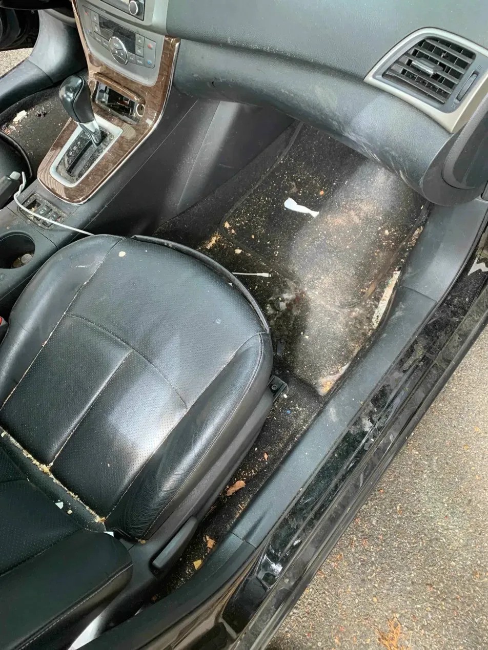 Before: heavily soiled interior with debris and staining